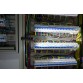 Lanterna Olight ArkPro Lite cu UV si lumina rosie