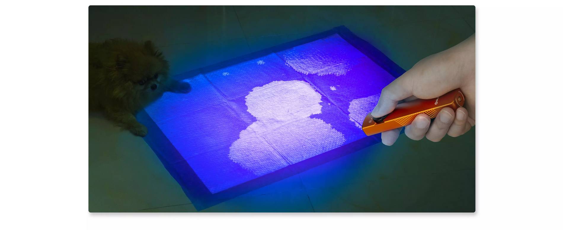 Evidențiezi urmele fluorescente