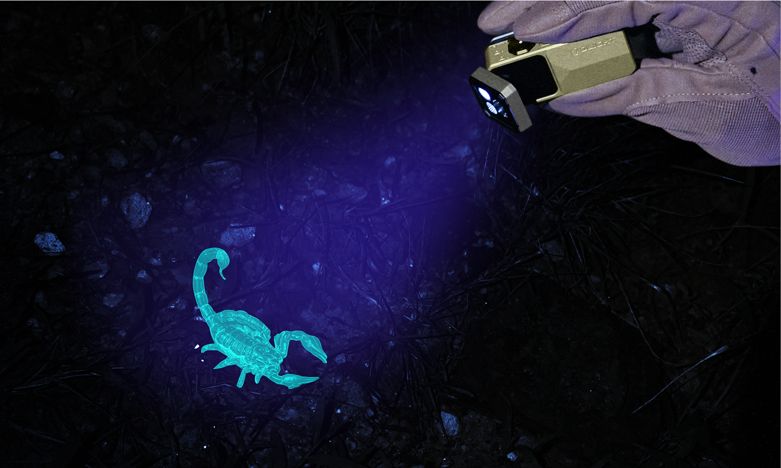 Oclip 2 Ultra evidentiaza fluorescenta naturala cu sursa UV